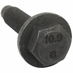 385725.jpg