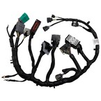 Engine Wiring Harness Exhaust Emission Control Main Image