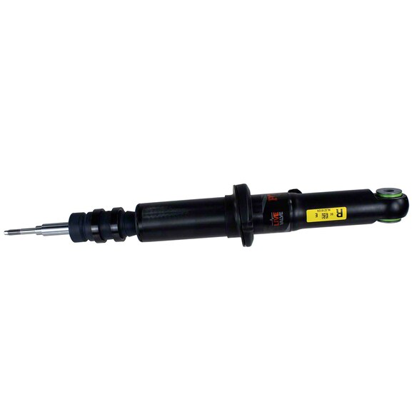 Suspension Strut - Right, Front Main Image