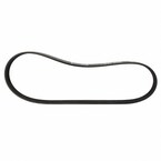 Serpentine Belt - 5.0L Main Image