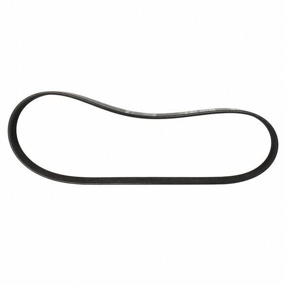 Serpentine Belt - 5.0L Main Image