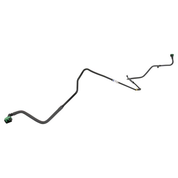 436731.jpg