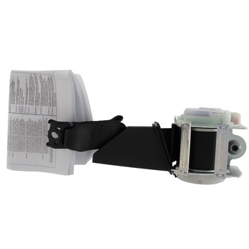 Seat Belt Lap and Shoulder - Right, Rear, Lower