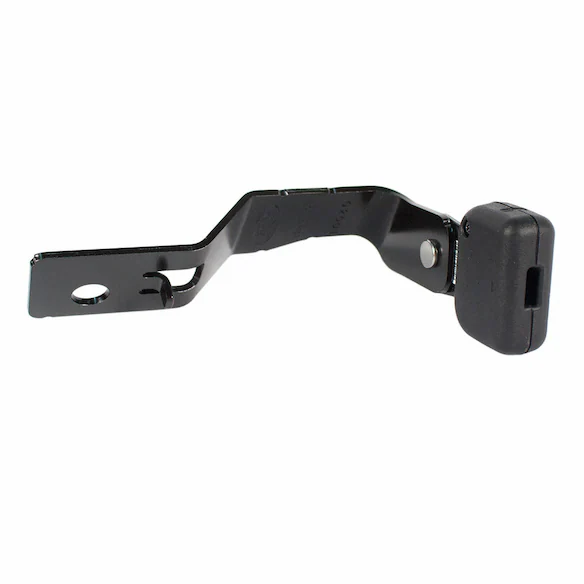 Seat Belt Receptacle And Buckle (Chateau) Main Image