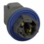 338736.jpg