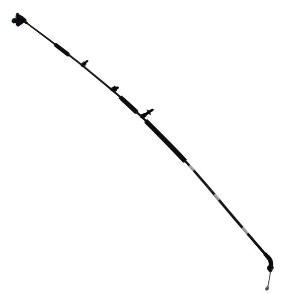 575736.jpg