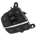 Steering Wheel Switch Main Image