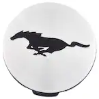 Wheel Cap Insert Style 1 18" Main Image