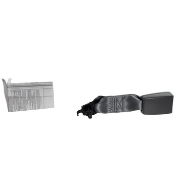 Seat Belt Receptacle Buckle - Rear, Center