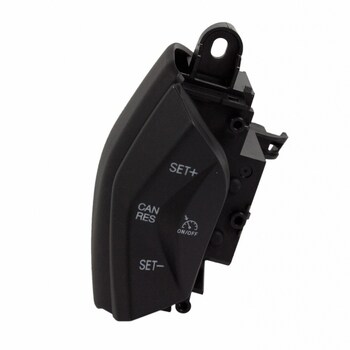 Cruise Control Switch - Left, Lower
