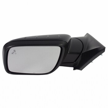 Door Mirror Rear View Head - Left, Outer