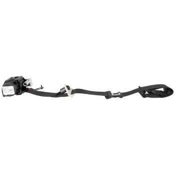 Seat Belt Lap and Shoulder - Left, Front, Rear (LX)