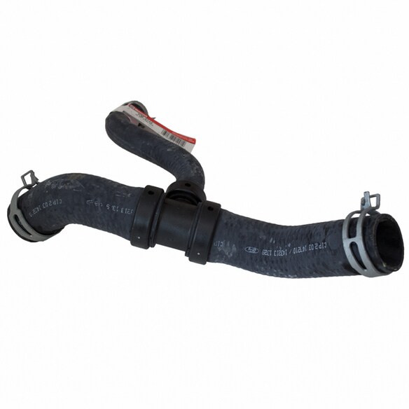 Radiator Coolant Hose - Lower Main Image