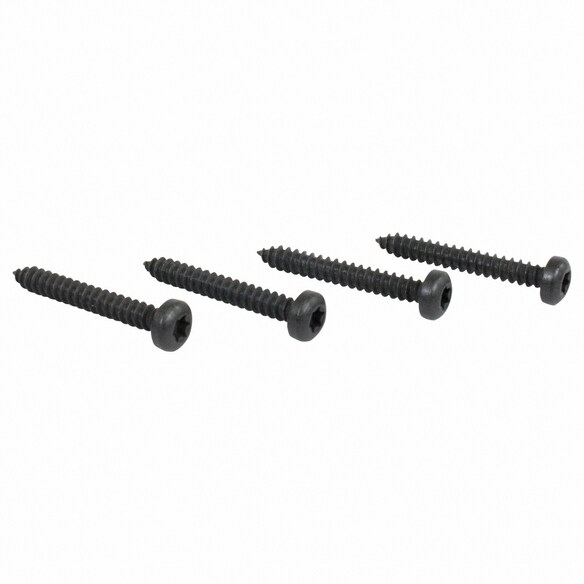 High Mount Stop Light Screw Interior Grab Bar - M4.2 X 25, Center Main Image