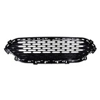 Grille - Front, Upper, Lower Main Image