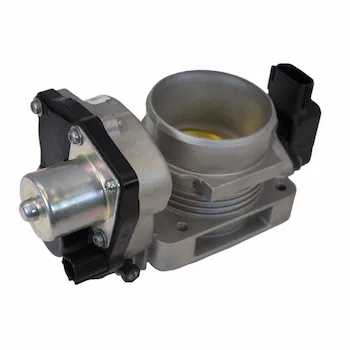 Fuel Injection Throttle Body and MO