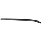 Door Belt Molding Window Weatherstrip - Right, Rear Main Image