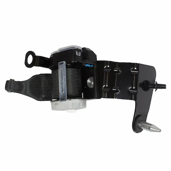 Seat Belt - Left, Rear