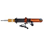Suspension Strut - Front Main Image