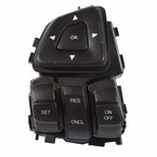 Cruise Control Switch - Left Main Image