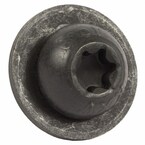 146753.jpg