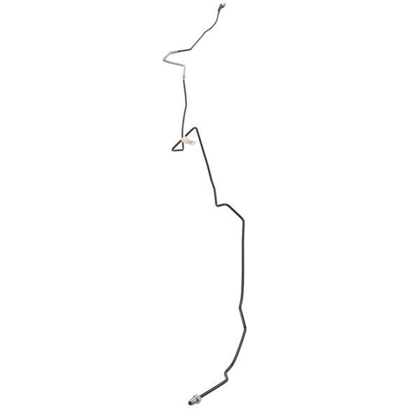 731753.jpg