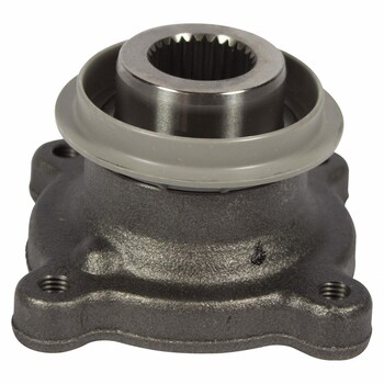 Companion Flange
