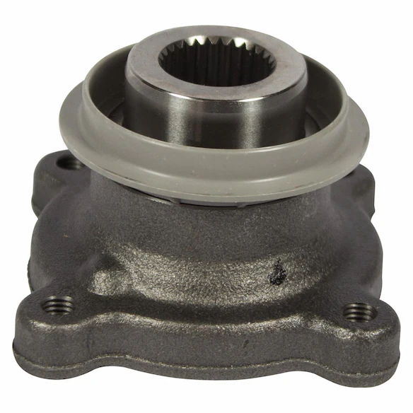 Companion Flange Main Image