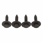 Screw - 4.8 X 19MM Main Image