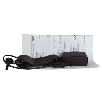 Seat Belt Receptacle Buckle - Rear, Center