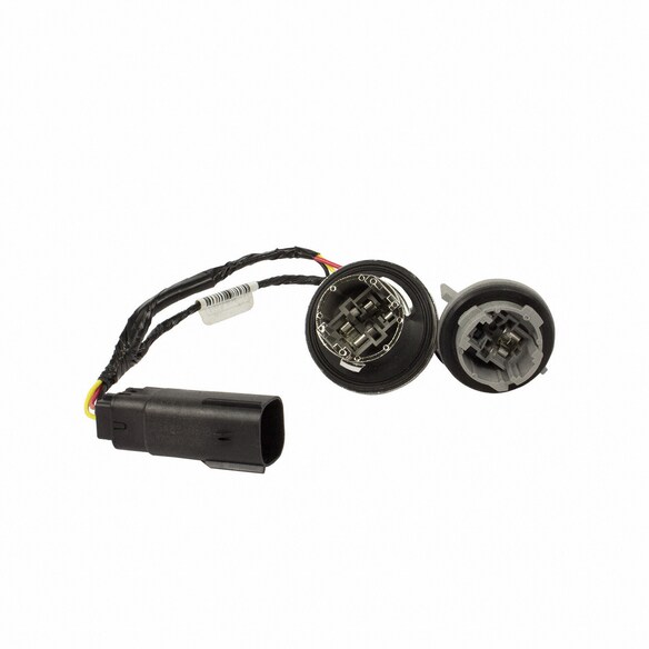 Tail Light Socket - Rear Main Image