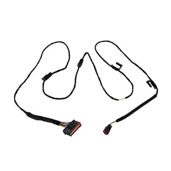 Wiring - Right, Rear