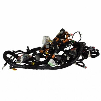 Wiring Main - Driver