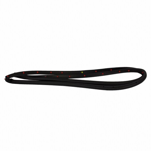 Door Seal Weatherstrip - Right, Rear Main Image