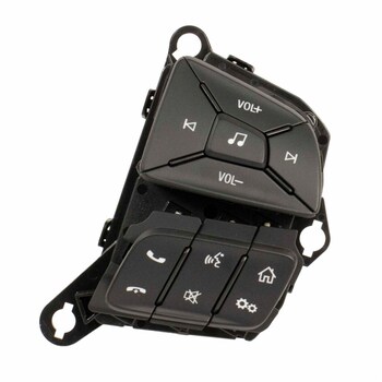 Cruise Control Switch