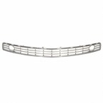 Bumper Grille - Front Main Image