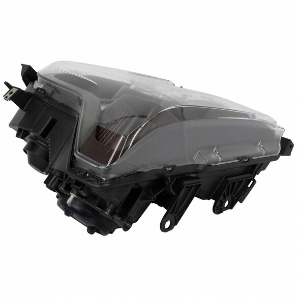 407761.jpg