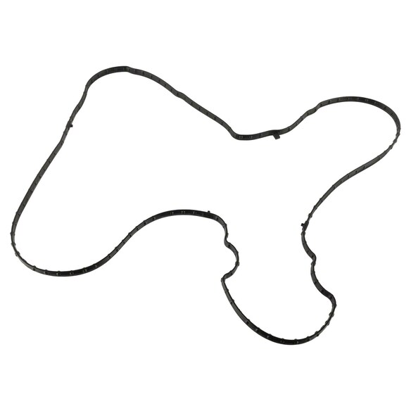 497761.jpg