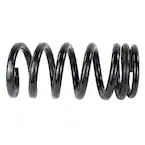 Coil Spring - Right, Front, Rear (Shelby) Main Image