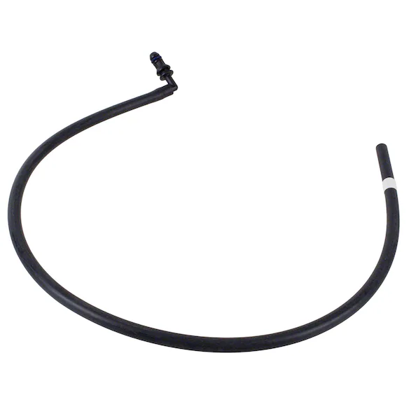 651762.jpg