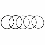 Engine Piston Ring Kit - 5.4L (GT) Main Image