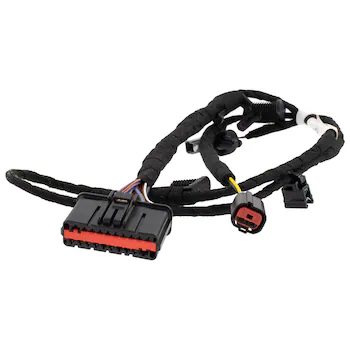 Wiring - Right, Rear