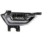 Fog Light Lamp - Right, Front, Center Main Image