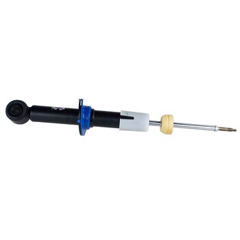 Suspension Strut Shock Absorber - Rear
