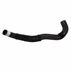 Radiator Coolant Hose - Lower Main Image