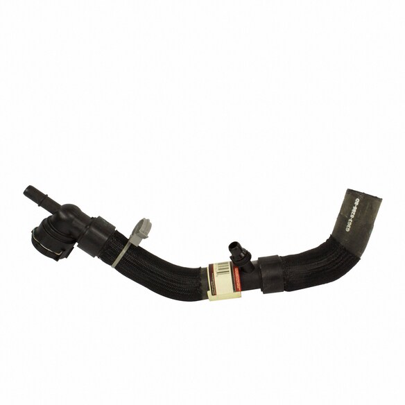 Radiator Coolant Hose - Lower Main Image