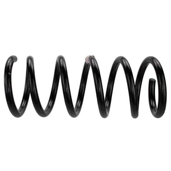 Coil Spring - Left, Right, Rear Main Image