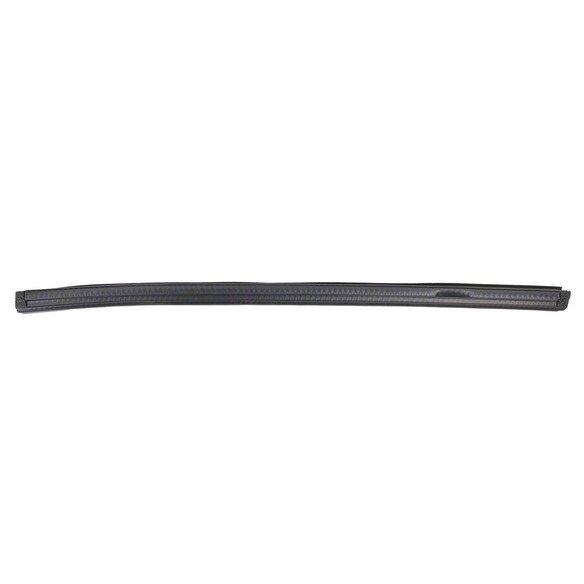 Door Window Belt Weatherstrip - Right, Rear Main Image