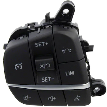 Cruise Control Switch - Left