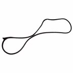 Door Seal Window Weatherstrip - Left, Front Main Image